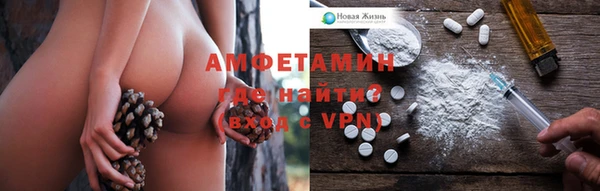 стафф Аркадак