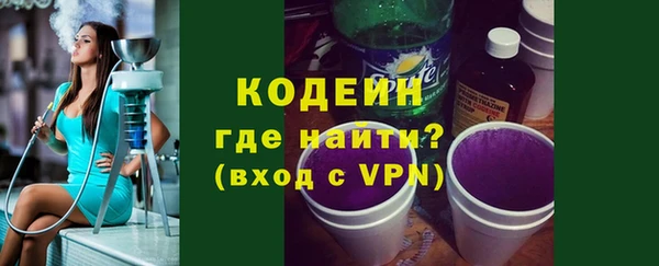 хмурый Арсеньев