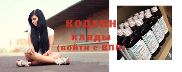 хмурый Арсеньев