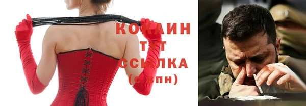 хмурый Арсеньев