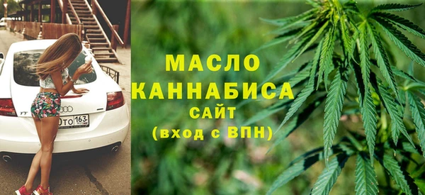 хмурый Арсеньев