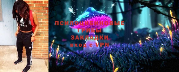 хмурый Арсеньев