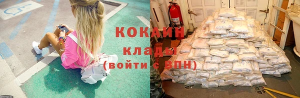 стафф Аркадак