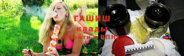 хмурый Арсеньев