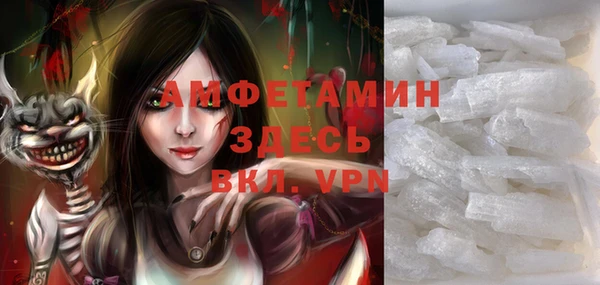 хмурый Арсеньев