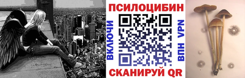 Галлюциногенные грибы Psilocybine cubensis  Чернушка 